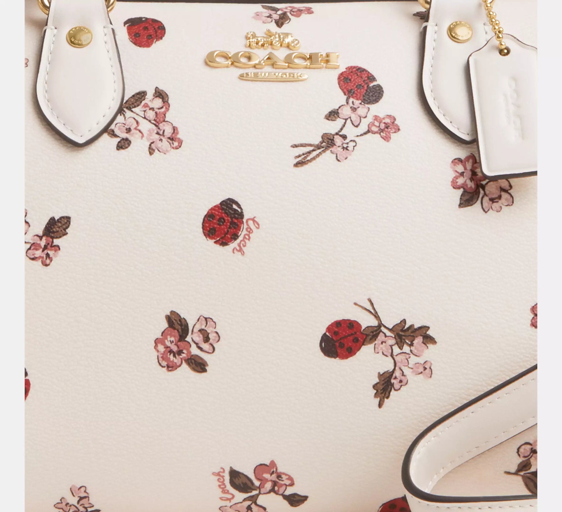 Rowan Satchel Bag With Ladybug Floral Print