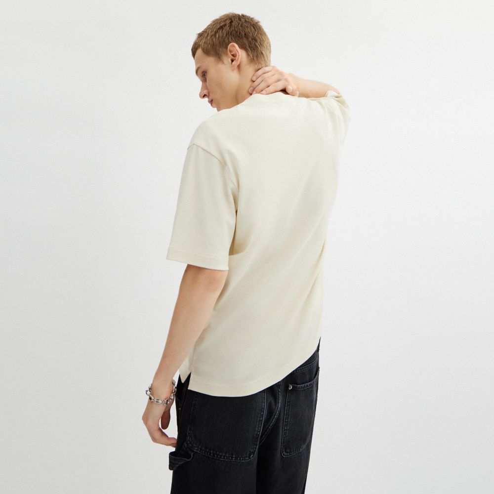 T Shirt In Organic Cotton
