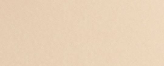 Restored Camila Bucket Bag