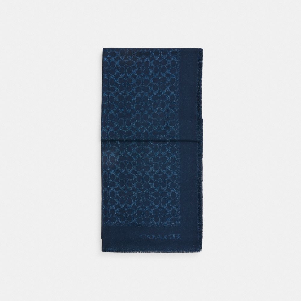 Signature Metallic Oblong Scarf