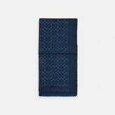 Signature Metallic Oblong Scarf