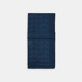 Signature Metallic Oblong Scarf