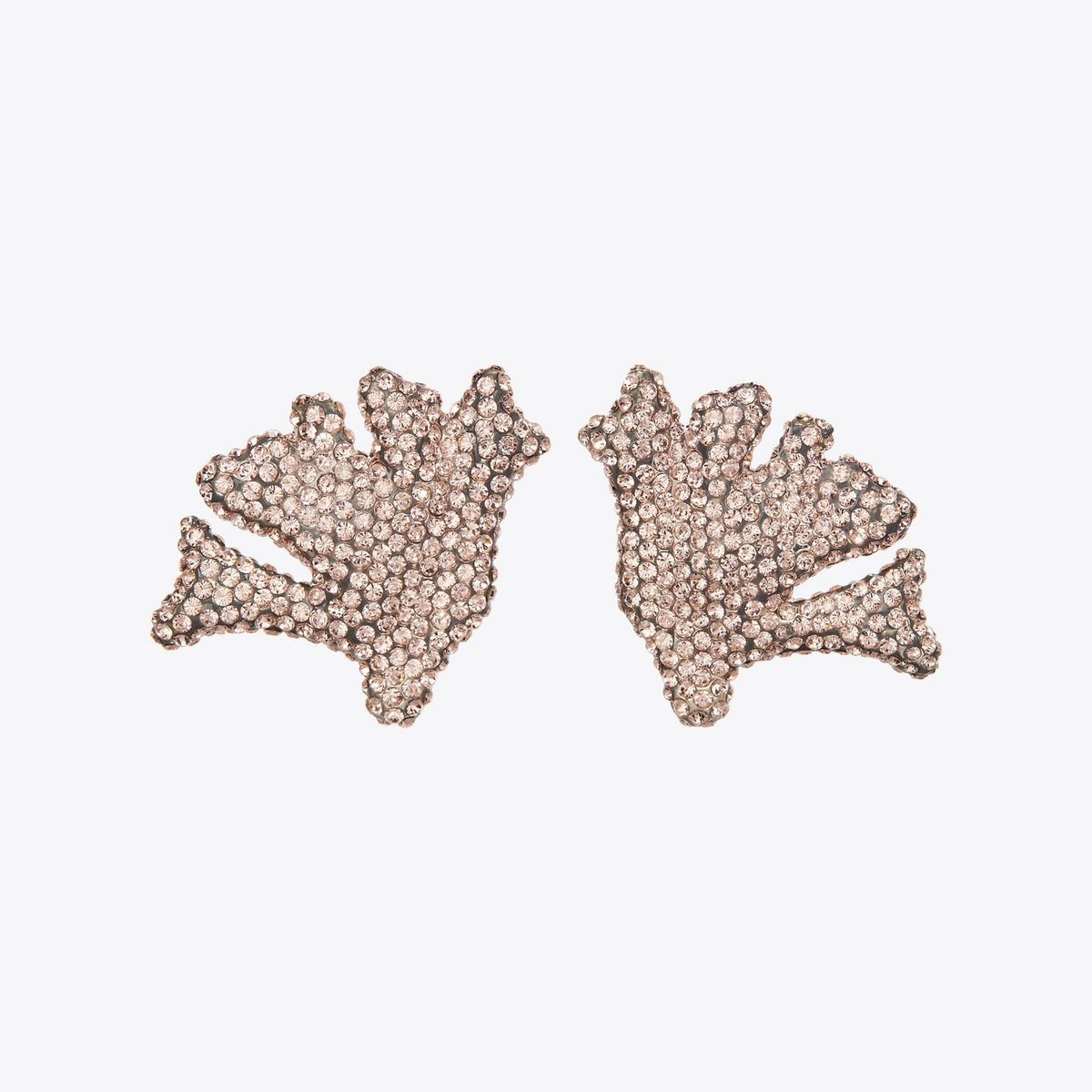 Curiosity Coral Earrings
