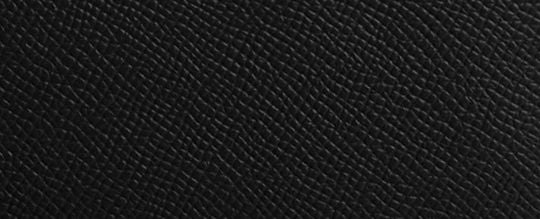 Corner Zip Wristlet