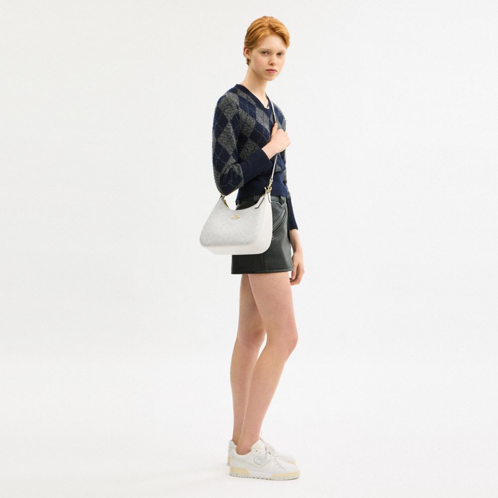 Teri Hobo Bag In Signature Canvas