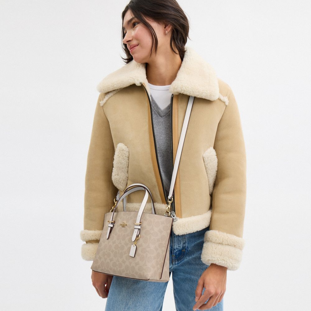 Mollie Tote Bag 25 In Signature Canvas