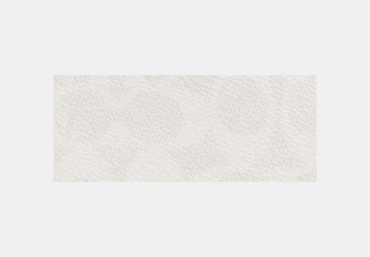 Mollie Tote Bag 25 In Signature Canvas