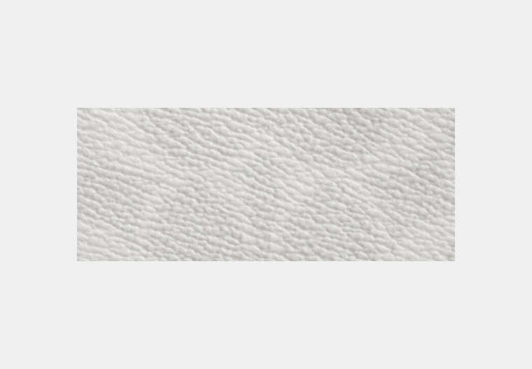 Passport Card Case In Signature Canvas