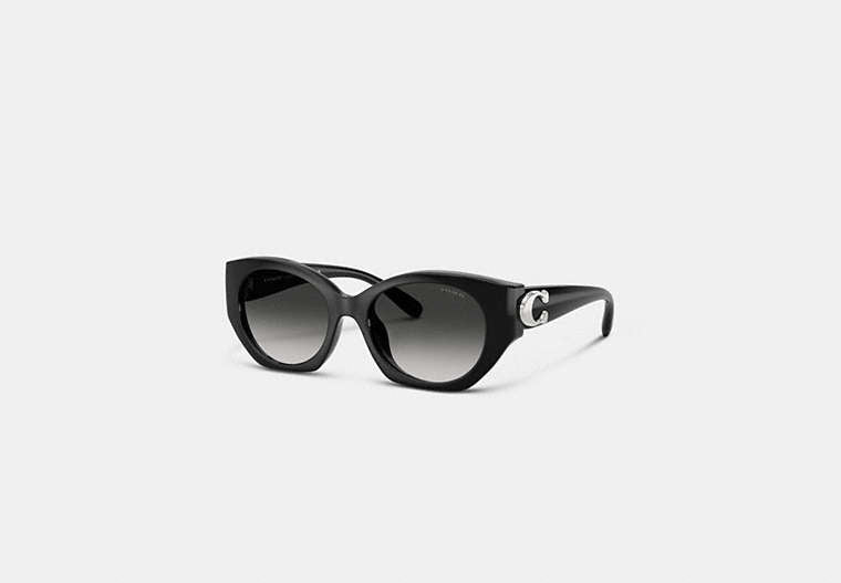 Maxi Sculpted C Oval Sunglasses