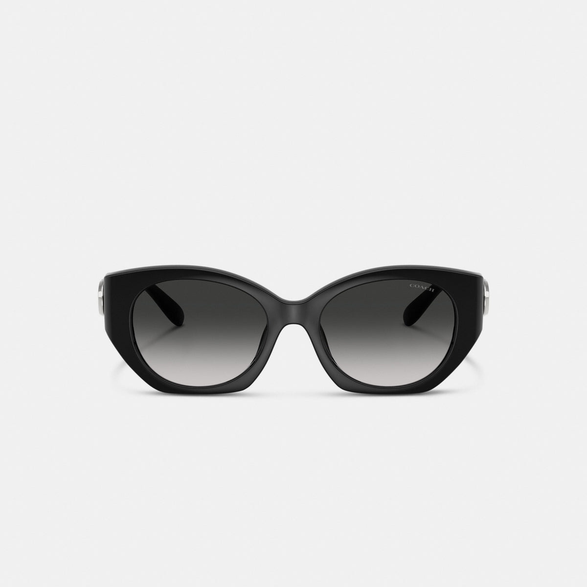 Maxi Sculpted C Oval Sunglasses