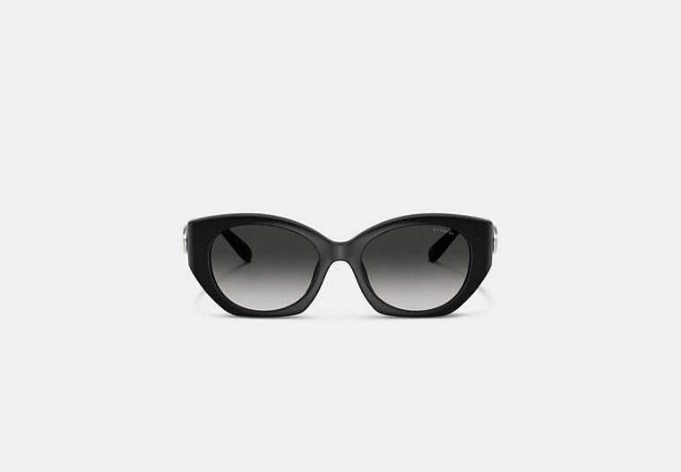 Maxi Sculpted C Oval Sunglasses