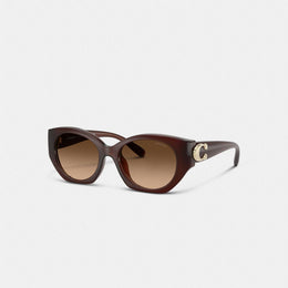 Maxi Sculpted C Oval Sunglasses