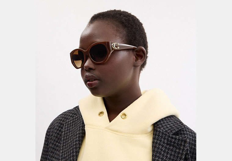 Maxi Sculpted C Oval Sunglasses