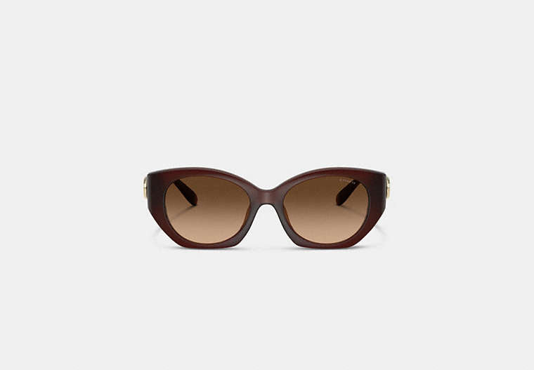Maxi Sculpted C Oval Sunglasses