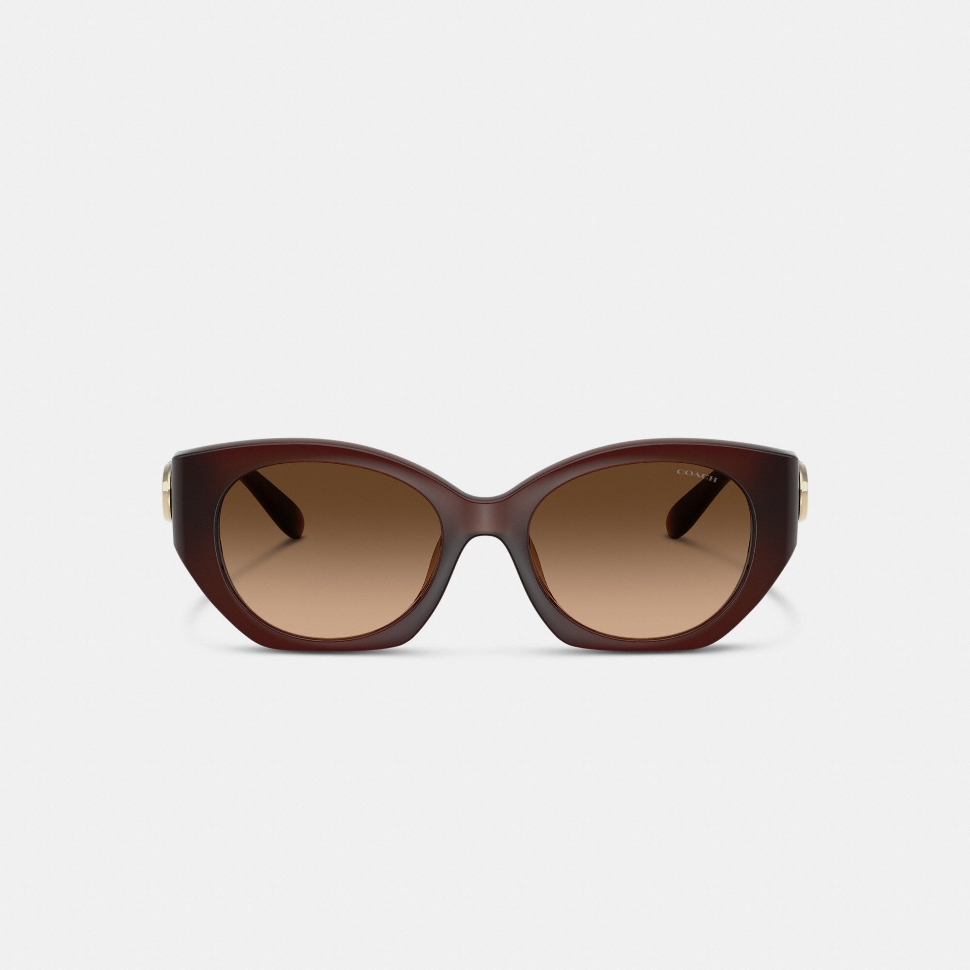 Maxi Sculpted C Oval Sunglasses