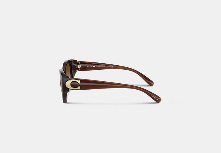 Maxi Sculpted C Oval Sunglasses