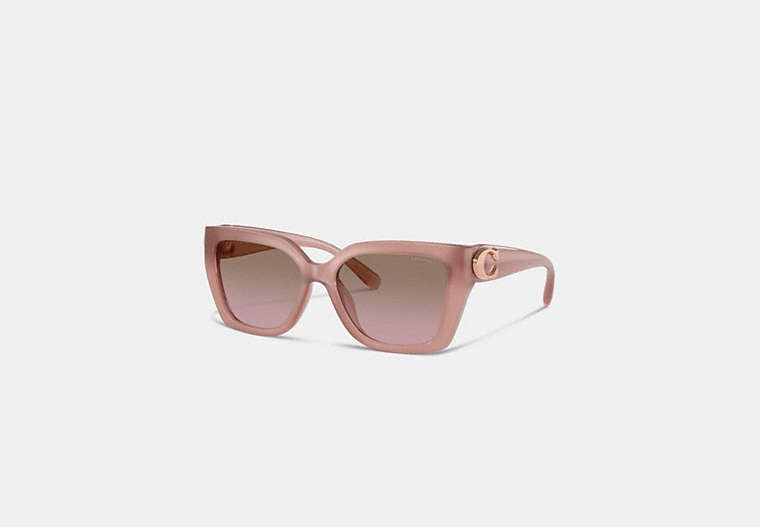 Maxi Sculpted C Square Cat Eye Sunglasses