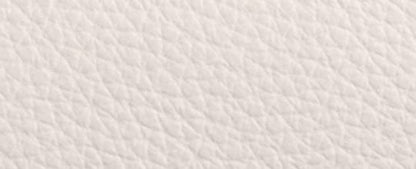 Teri Mini Crossbody Bag