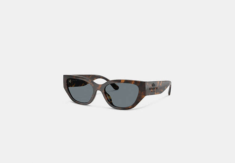 Geometric Cat Eye Sunglasses