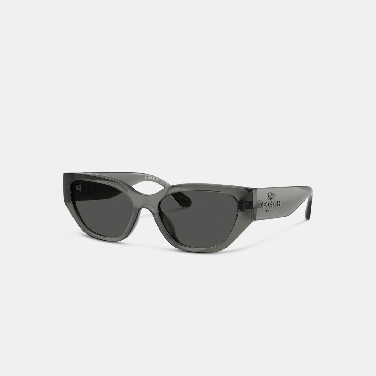 Geometric Cat Eye Sunglasses