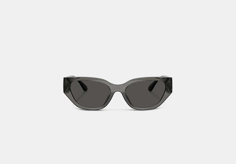 Geometric Cat Eye Sunglasses