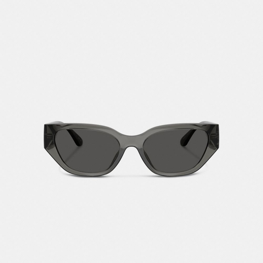 Geometric Cat Eye Sunglasses