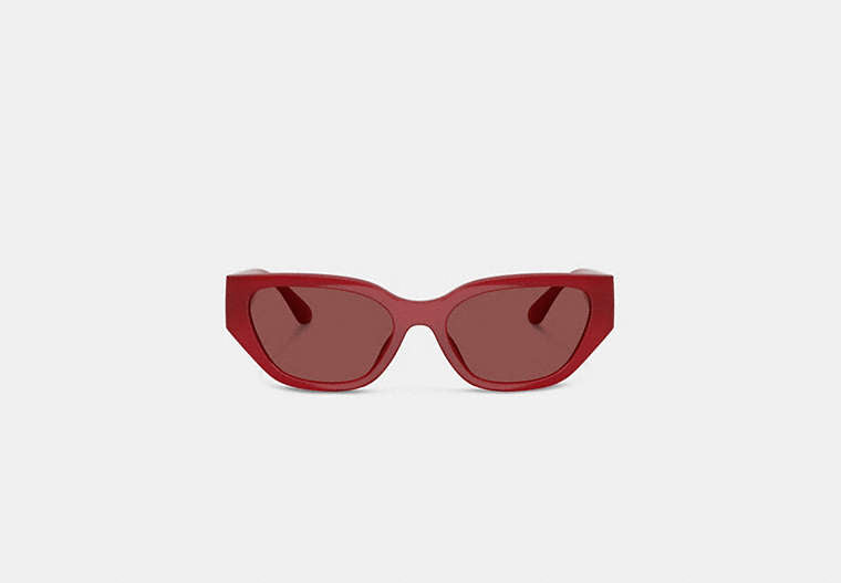 Geometric Cat Eye Sunglasses