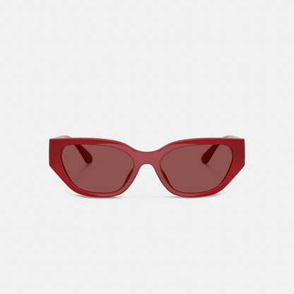 Geometric Cat Eye Sunglasses