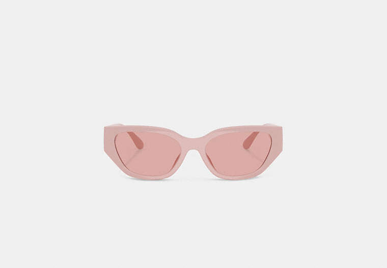 Geometric Cat Eye Sunglasses