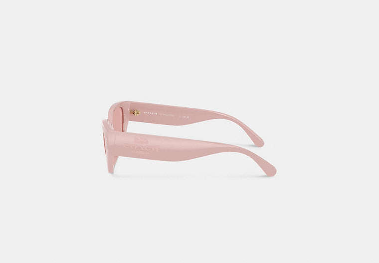 Geometric Cat Eye Sunglasses