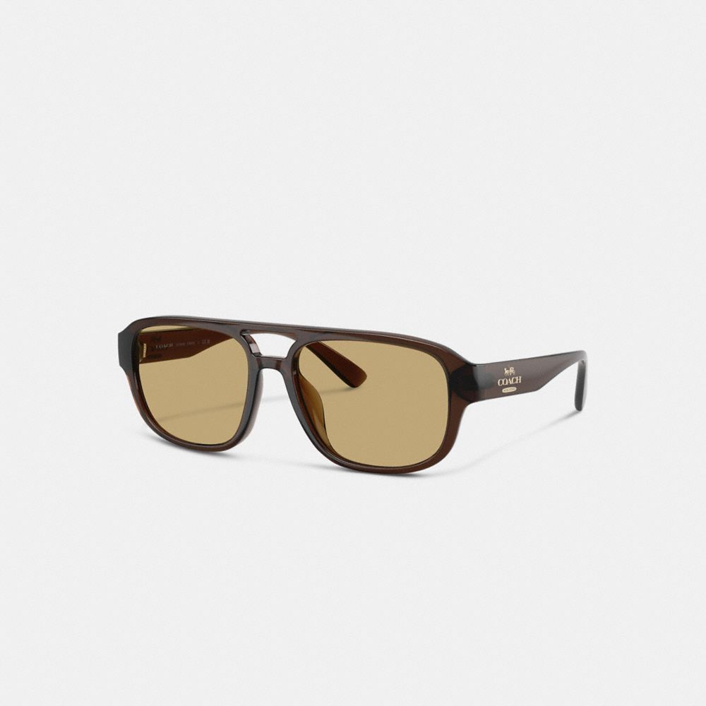 Pilot Sunglasses