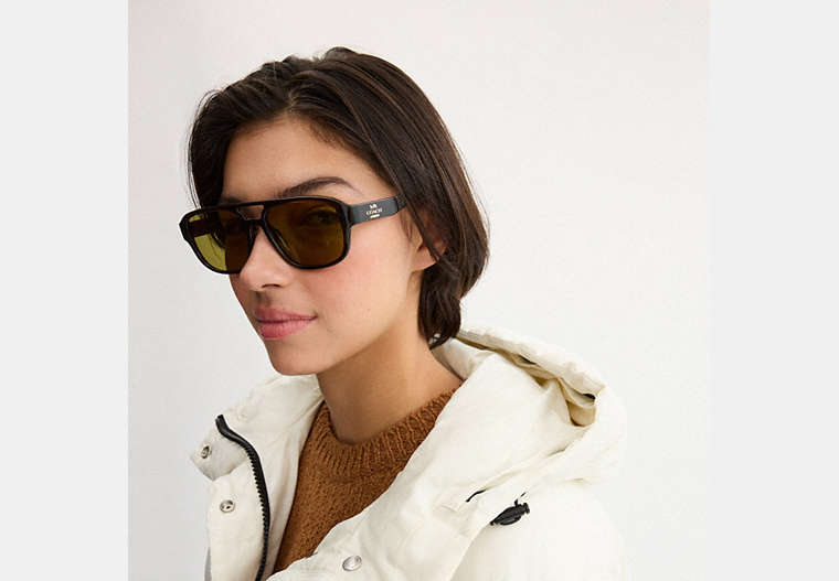 Pilot Sunglasses