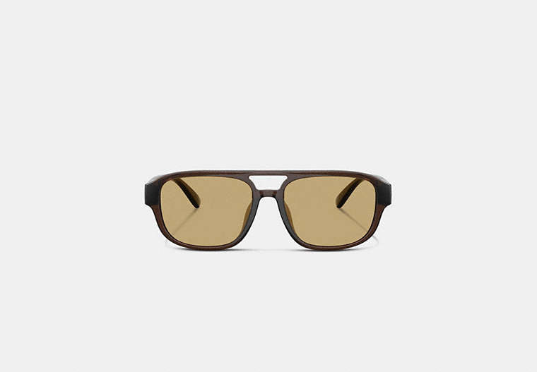 Pilot Sunglasses