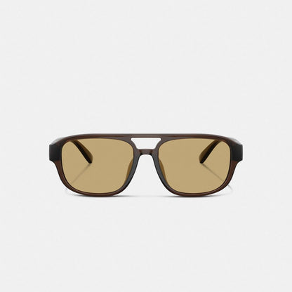Pilot Sunglasses
