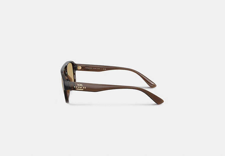 Pilot Sunglasses