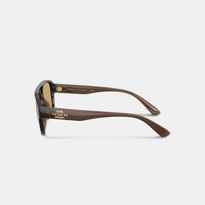 Pilot Sunglasses