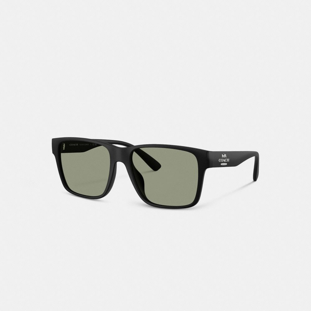 Square Sunglasses