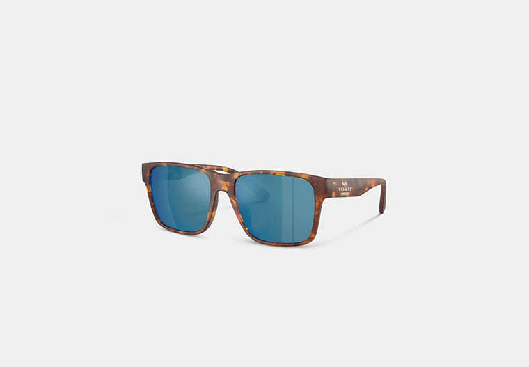 Square Sunglasses