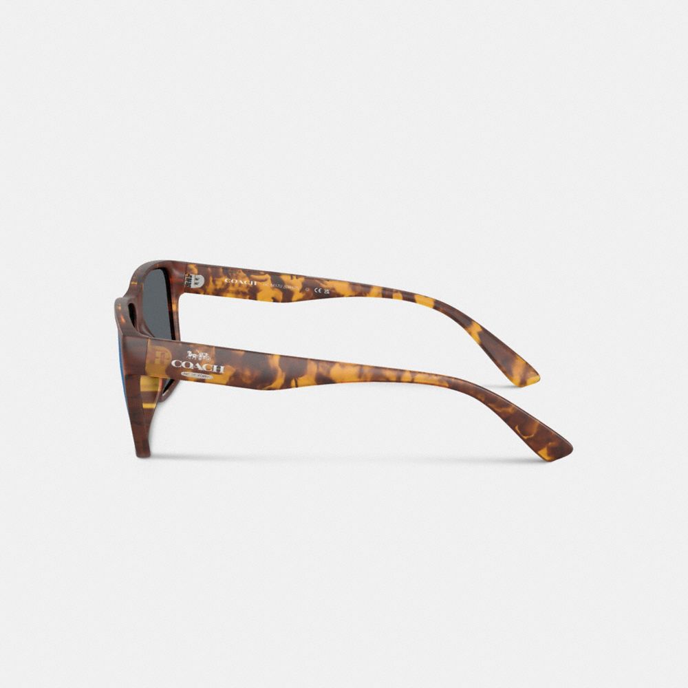 Square Sunglasses