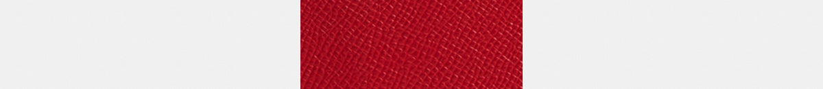 Cosmetic Case