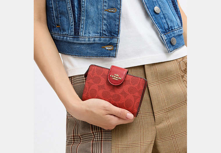Medium Corner Zip Wallet In Signature Canvas
