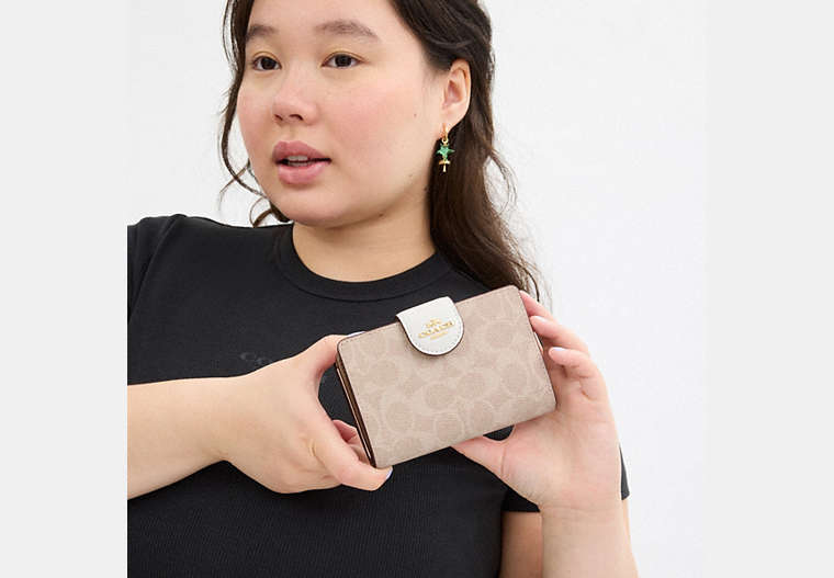 Medium Corner Zip Wallet In Signature Canvas
