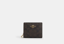 Snap Wallet In Signature Canvas