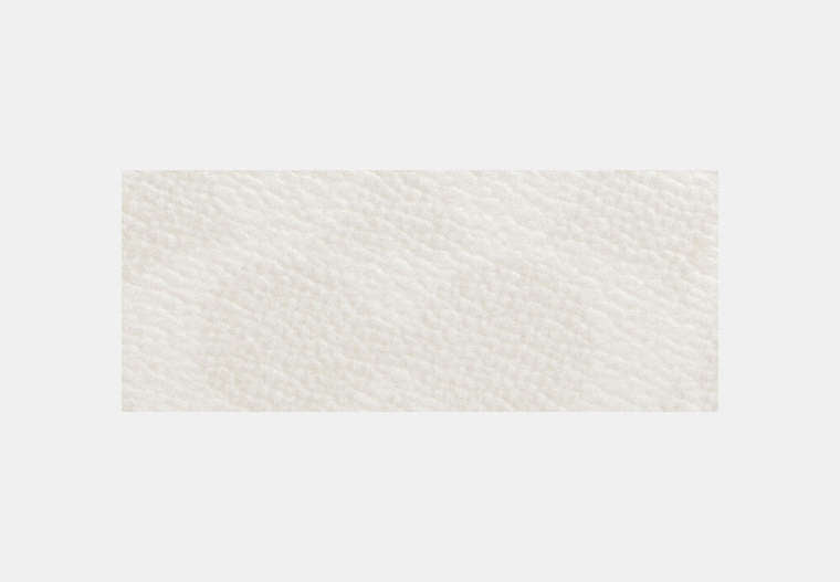 Snap Wallet In Signature Canvas