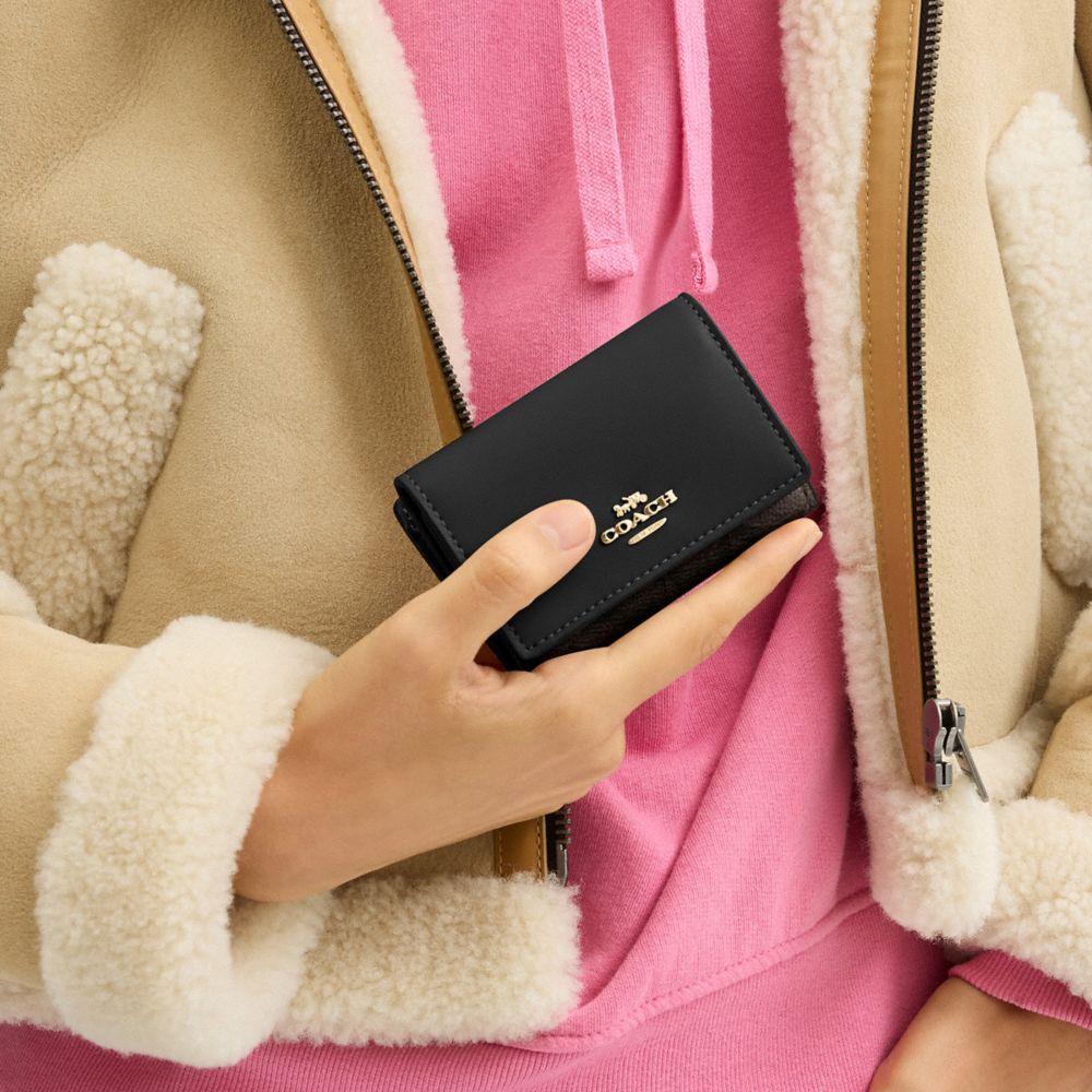 Micro Wallet In Signature Canvas