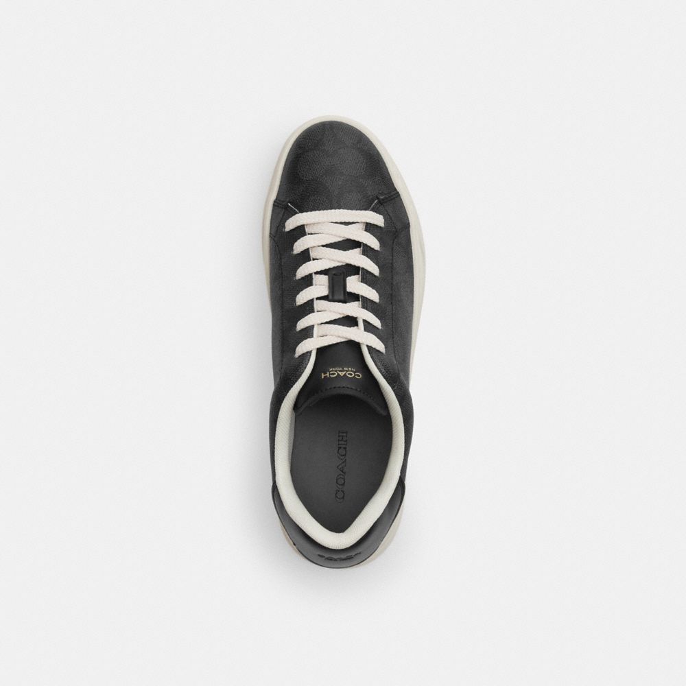 High Line Sneaker In Signature Canvas — Part 1