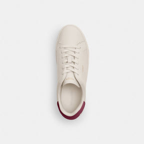 High Line Sneaker