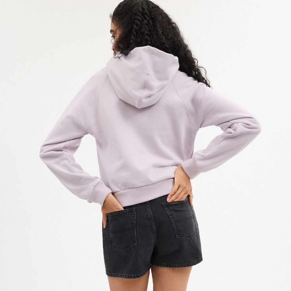 Shrunken Raglan Hoodie With Sticker Patches