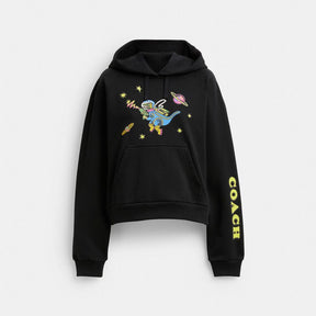 Cosmic Coach Rexy Print Raglan Hoodie