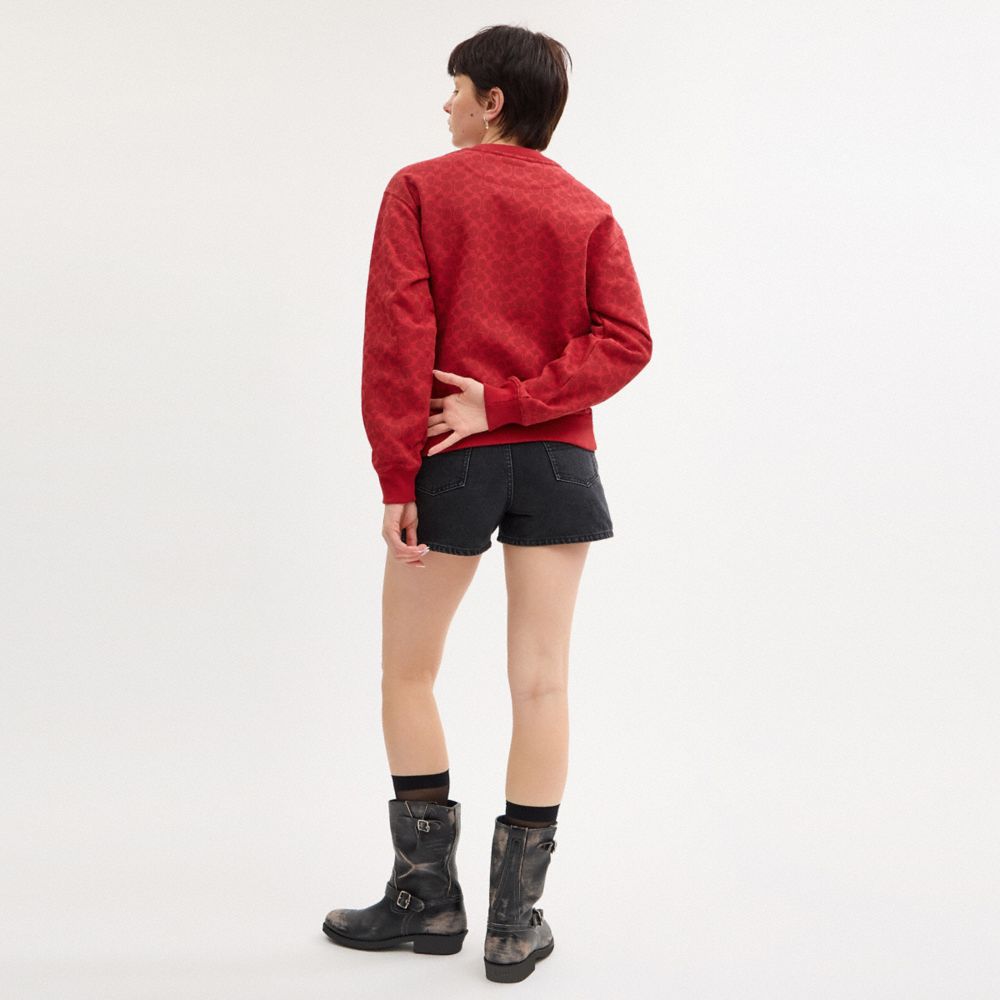 Signature Pegasus Sweatshirt